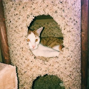 Meet your Posher, Kirklyn